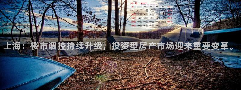 新宝骏rc5W：上海：楼市调控持续升级，投资型房产市场迎来重