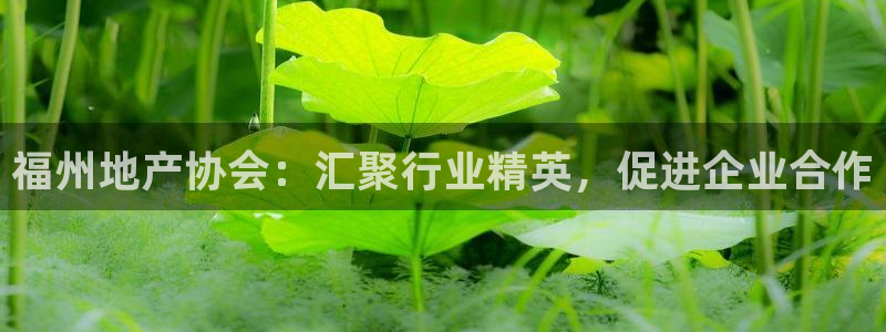 新宝5娱乐手机登录：福州地产协会：汇聚行业精英，促进企业合作