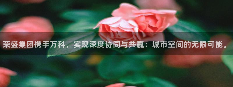 新宝5下载app：荣盛集团携手万科，实现深度协同与共赢：城市