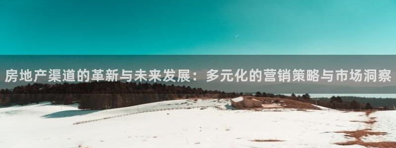 新宝5尤74OOO5：房地产渠道的革新与未来发展：多元化的营