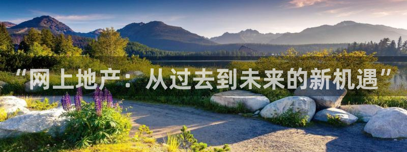 新宝5巅峰：“网上地产：从过去到未来的新机遇”