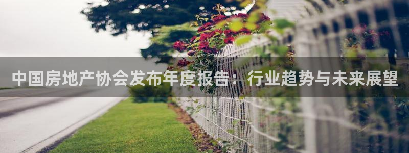 新宝5注册：中国房地产协会发布年度报告：行业趋势与未来展望
