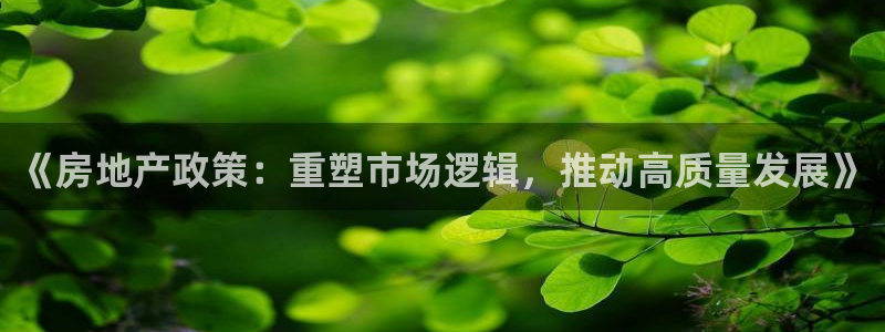 有人知道新宝5么：《房地产政策：重塑市场逻辑，推动高质量发展