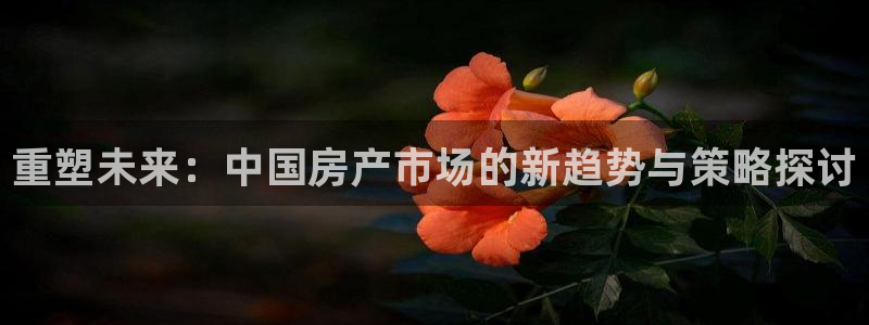 新宝5卫74OOO5：重塑未来：中国房产市场的新趋势与策略探