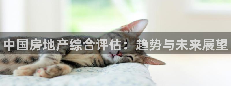 新宝5app：中国房地产综合评估：趋势与未来展望
